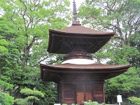 万徳寺２　６月５日.jpg