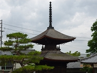 観音寺１　６月５日.JPG