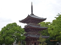 甚目寺２　６月５日.JPG