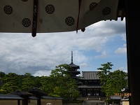 法隆寺３.JPG