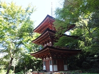 浄瑠璃寺２.jpg