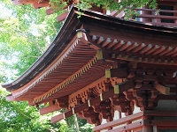 浄瑠璃寺３.jpg