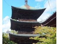 信濃国分寺 (1).jpg