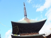 信濃国分寺 (2).jpg