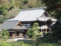 岡寺 (1).jpg