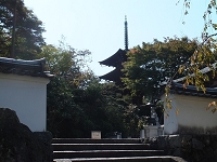 岡寺 (2).jpg