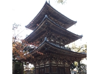 百済寺 (2).jpg