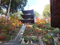 常楽寺 (1).jpg