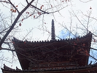 宝積寺 (3).jpg