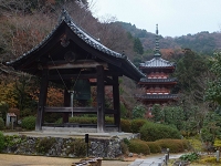 三室戸寺 (1).jpg