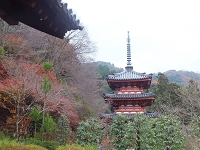 三室戸寺 (2).jpg