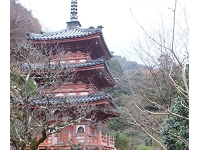 三室戸寺 (3).jpg