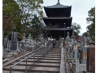 光明寺 (1).jpg