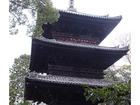 光明寺 (2).jpg