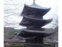 三井寺 (2).jpg