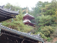 今熊野観音寺 (1).jpg