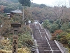 三室戸寺 (1).jpg