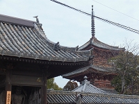 斑鳩寺３.jpg